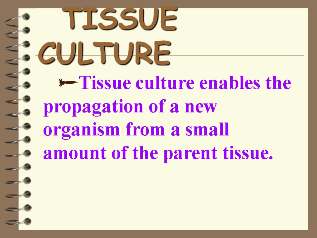 TISSUE CULTURE Tissue culture enables the propagation of a new organism from a small